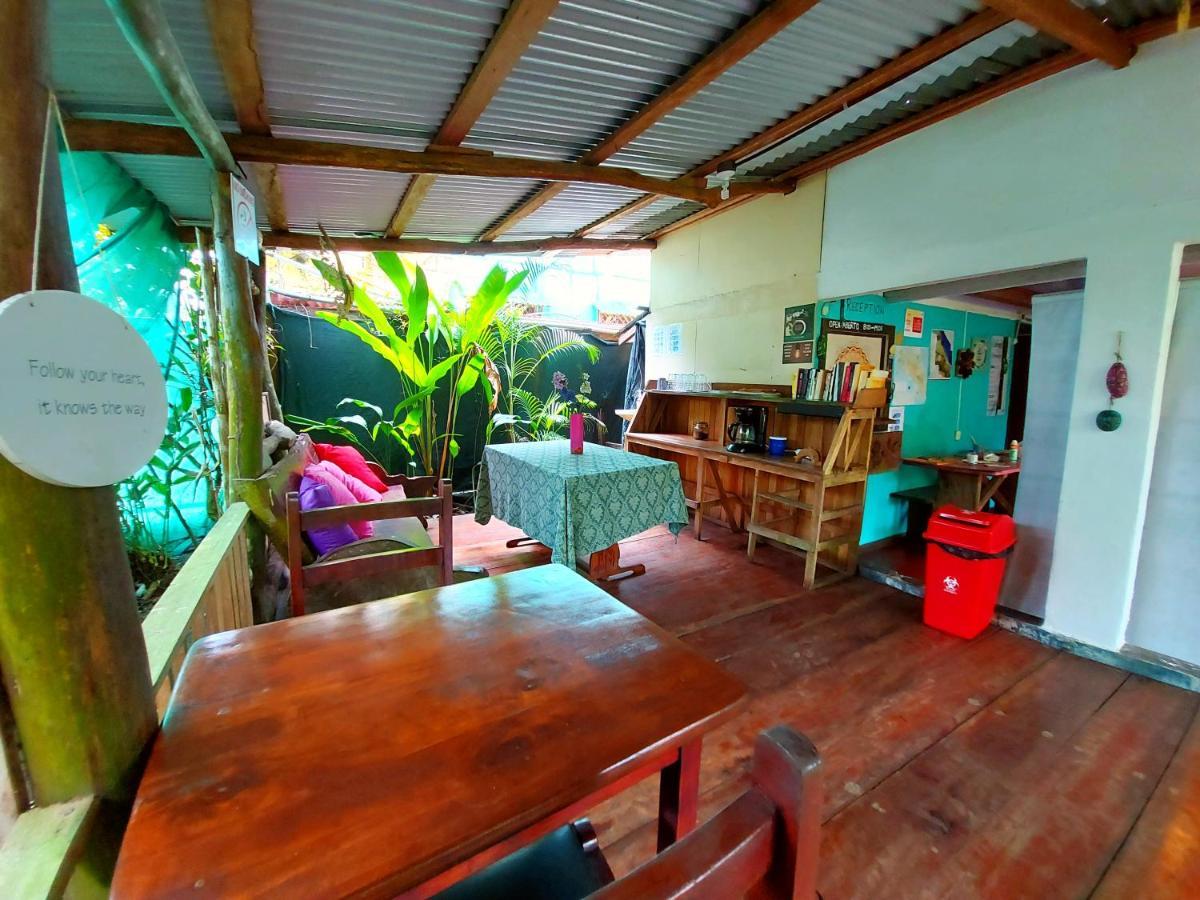 Cabinas Tortuguero Exterior photo