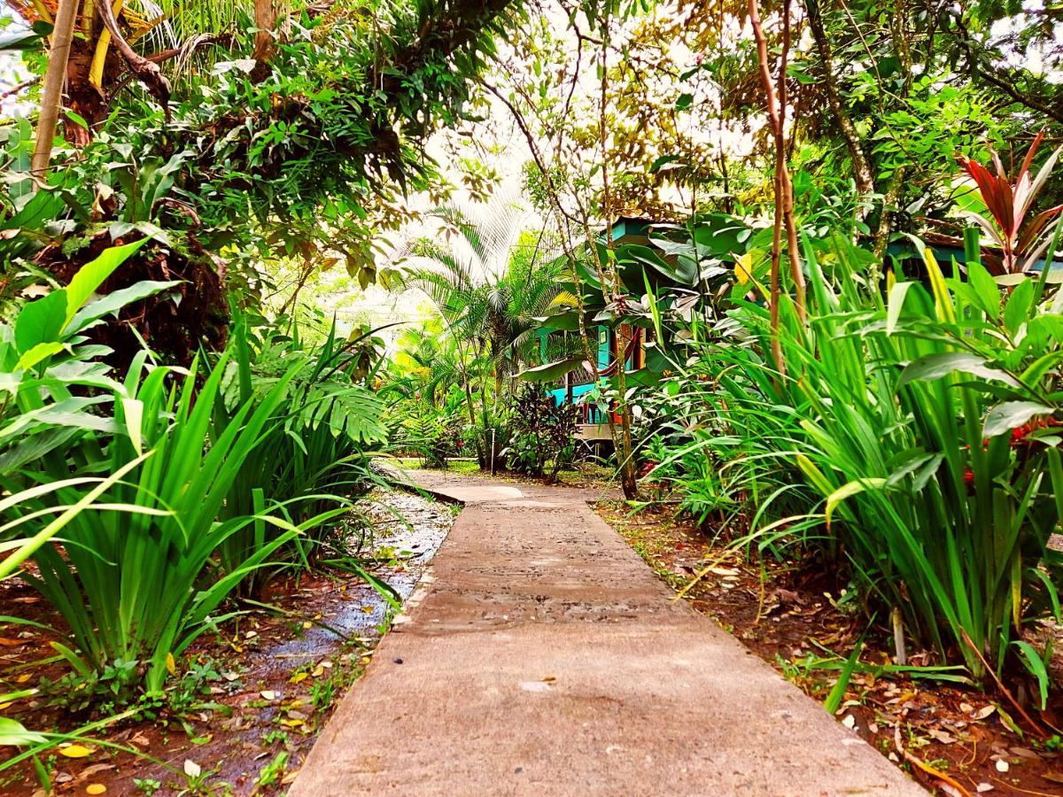 Cabinas Tortuguero Exterior photo
