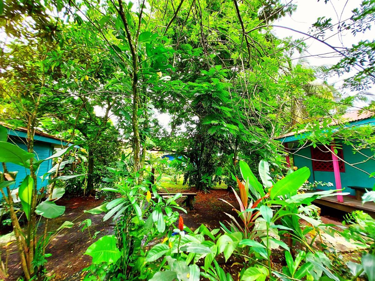 Cabinas Tortuguero Exterior photo
