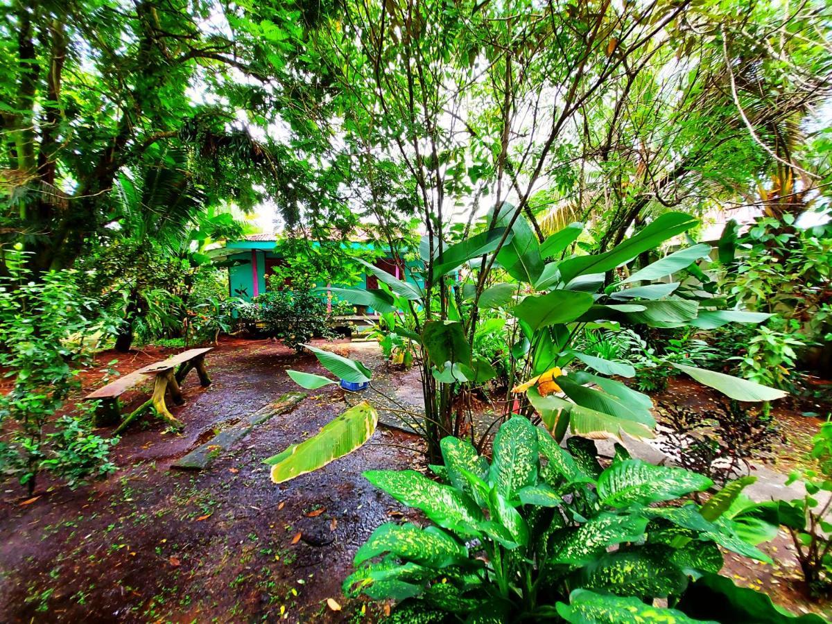 Cabinas Tortuguero Exterior photo