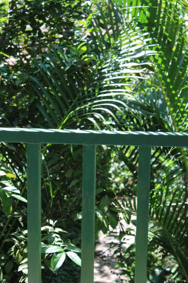 Cabinas Tortuguero Exterior photo
