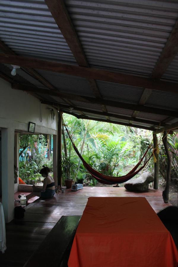 Cabinas Tortuguero Exterior photo