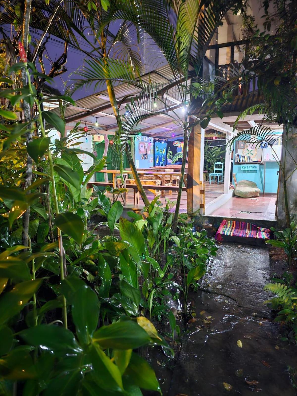 Cabinas Tortuguero Exterior photo