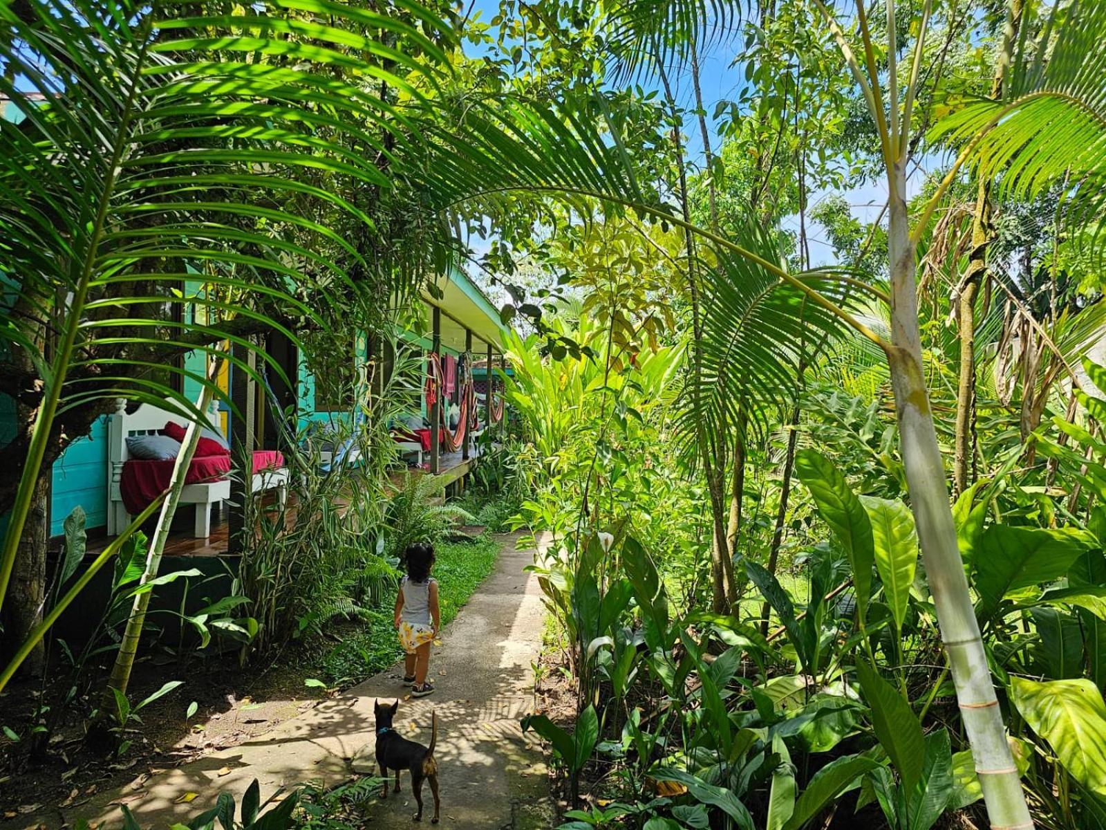Cabinas Tortuguero Exterior photo
