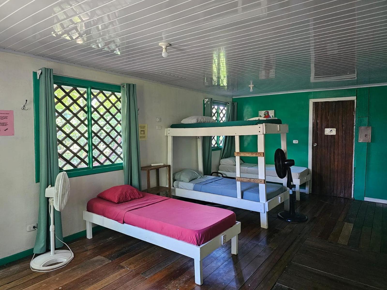 Cabinas Tortuguero Exterior photo