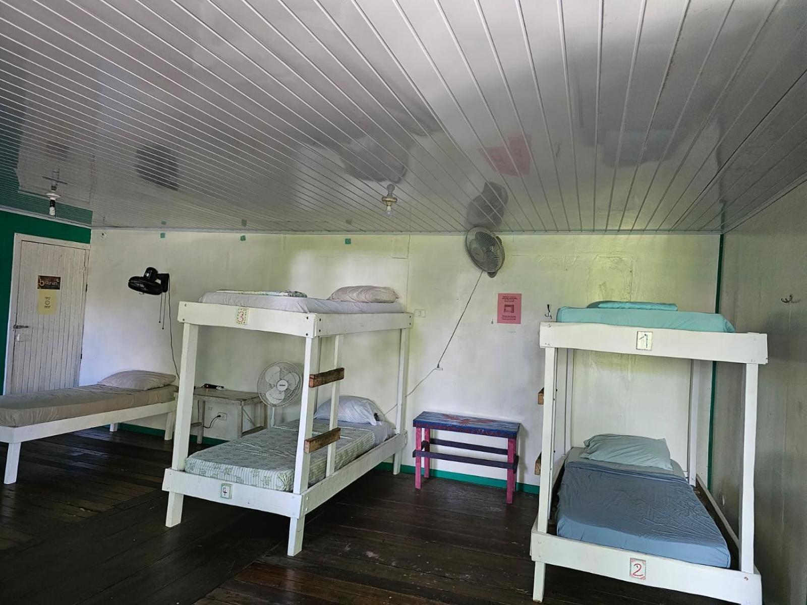 Cabinas Tortuguero Exterior photo