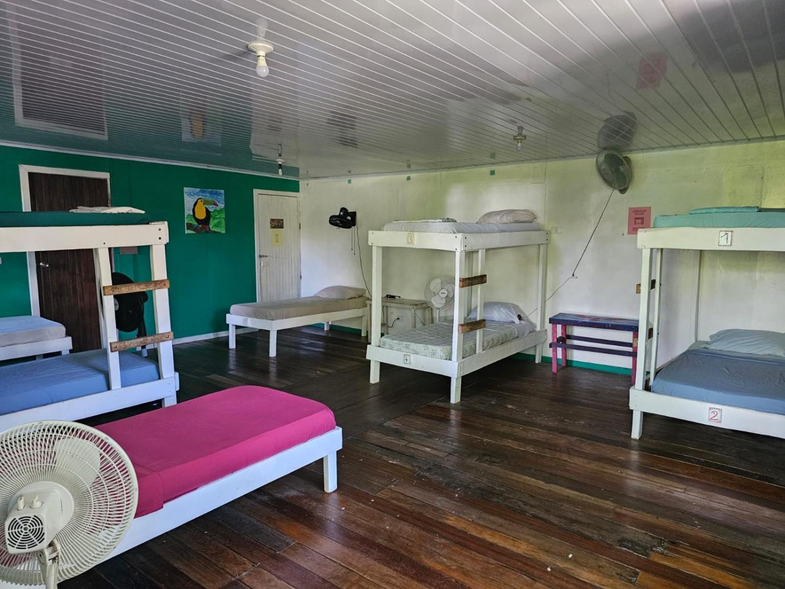 Cabinas Tortuguero Exterior photo