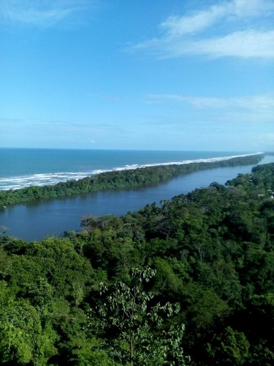 Cabinas Tortuguero Exterior photo