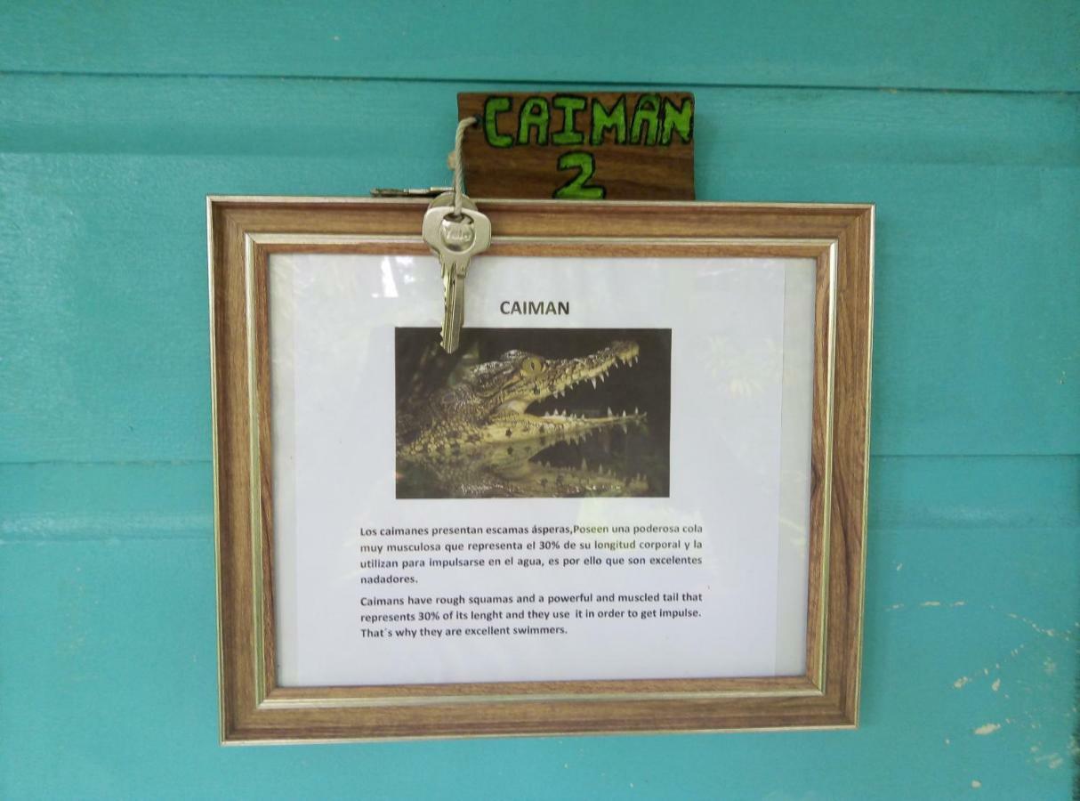 Cabinas Tortuguero Exterior photo